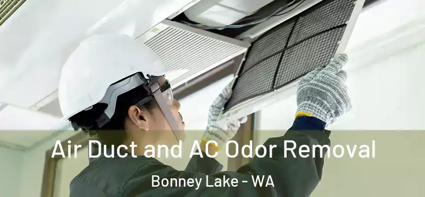  Air Duct and AC Odor Removal Bonney Lake - WA