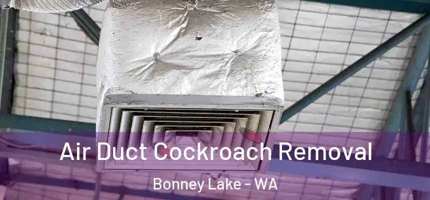  Air Duct Cockroach Removal Bonney Lake - WA