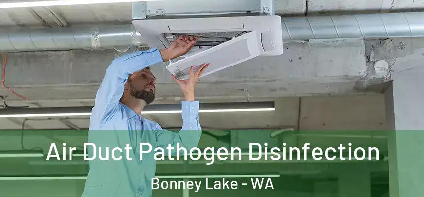  Air Duct Pathogen Disinfection Bonney Lake - WA