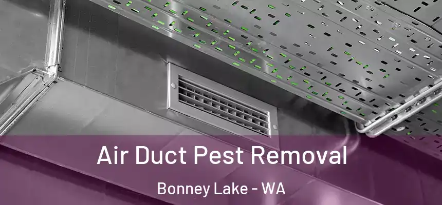  Air Duct Pest Removal Bonney Lake - WA