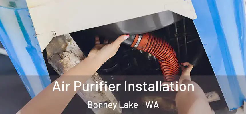 Air Purifier Installation Bonney Lake - WA