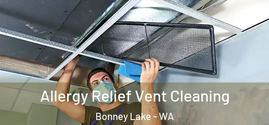 Allergy Relief Vent Cleaning Bonney Lake - WA