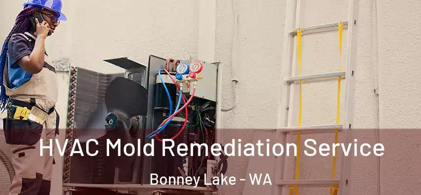  HVAC Mold Remediation Service Bonney Lake - WA