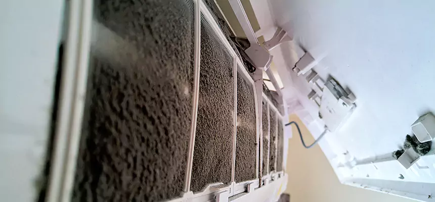 Preventive Air Duct Bacteria Removal in Bonney Lake