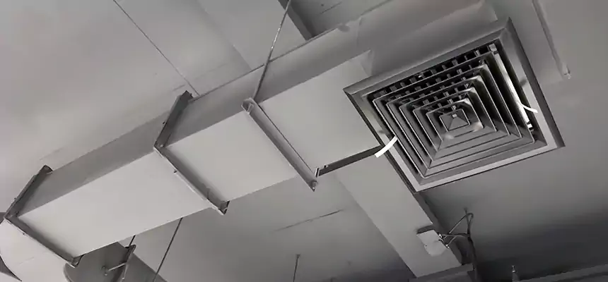 Restorative Allergy Relief Vent Cleaning – Coil, Blower & Housing Detail in Bonney Lake