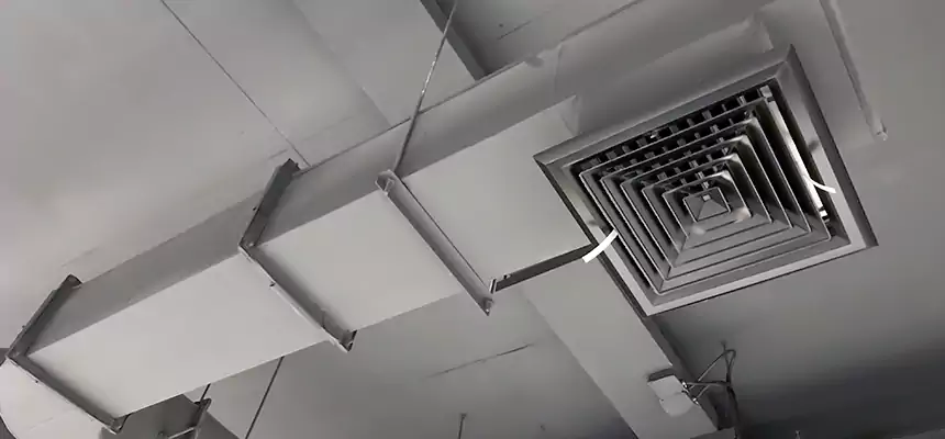 Our Pest Removal From Ducts Services in Bonney Lake, WA