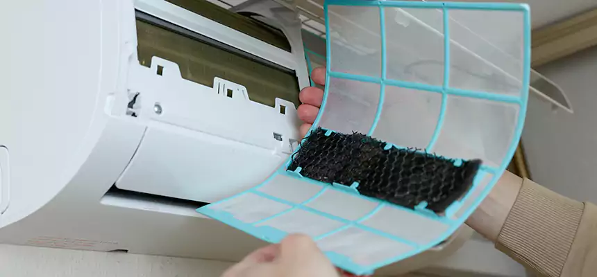 Gentle Ductwork Odor-Control Pet Dander Duct Cleaning in Bonney Lake, WA