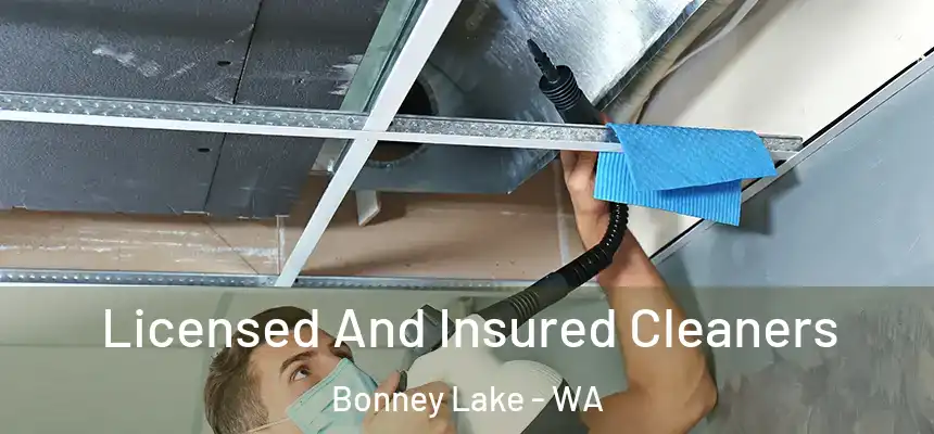 Licensed And Insured Cleaners Bonney Lake - WA