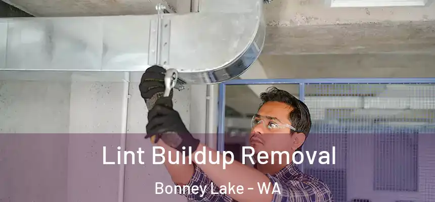 Lint Buildup Removal Bonney Lake - WA