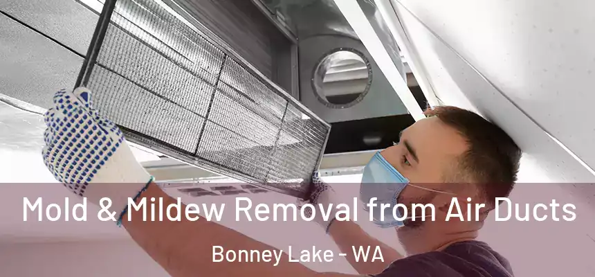  Mold & Mildew Removal from Air Ducts Bonney Lake - WA
