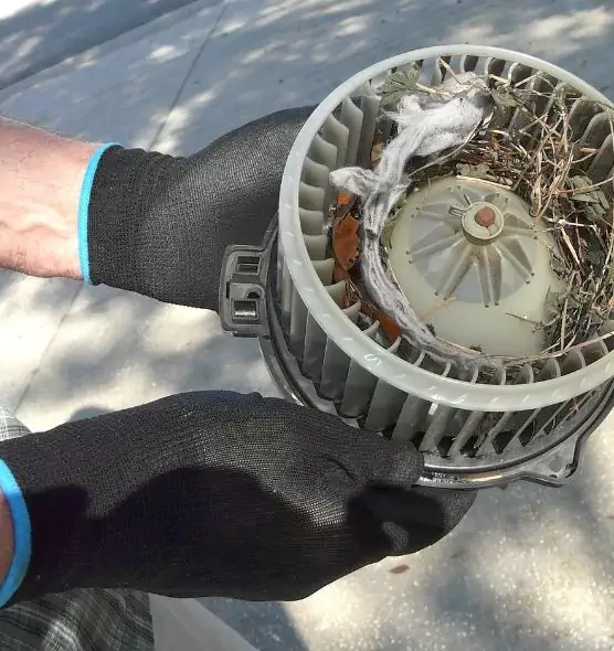 About Air Duct Mice Removal in Bonney Lake, WA