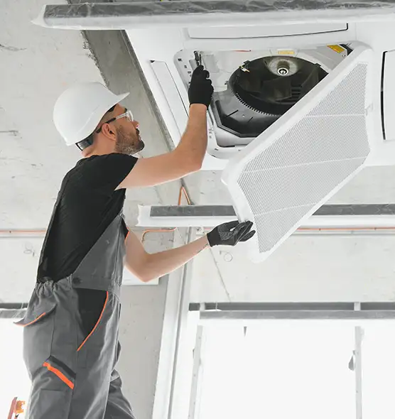 About Air Duct Rodent Removal in Bonney Lake, WA