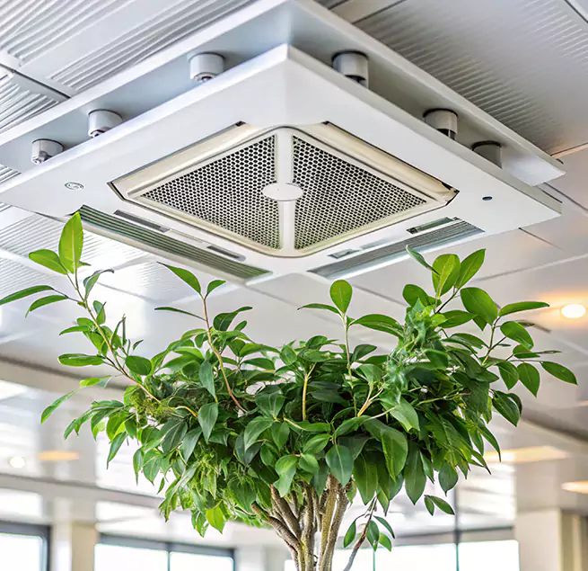 Why Homeowners & Businesses Trust Us in Bonney Lake, WA?