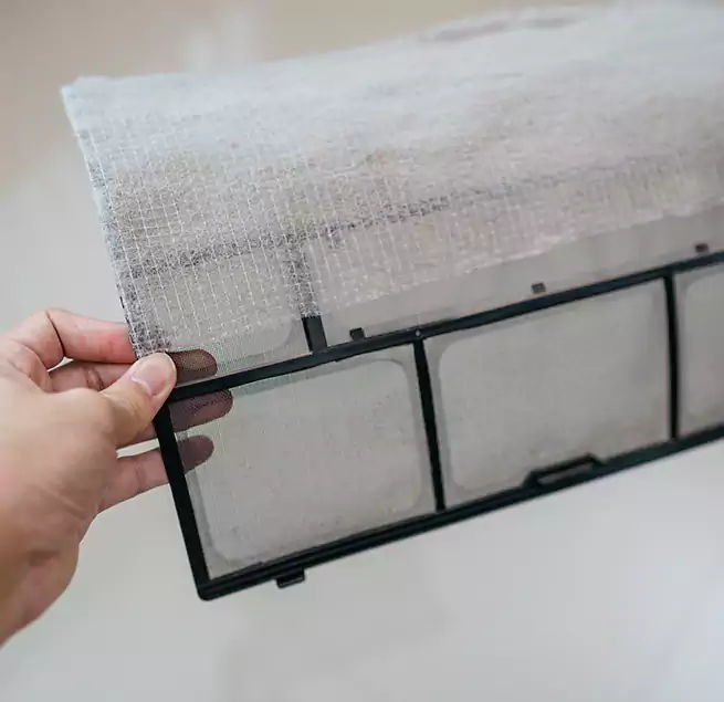 Why Homeowners & Businesses Trust Us in Bonney Lake, WA?