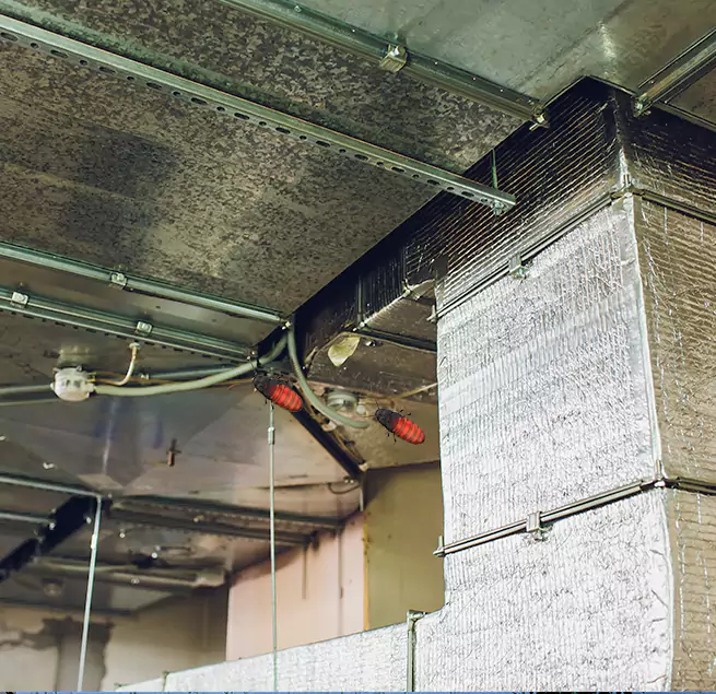 Why Homeowners & Businesses Trust Us Bonney Lake, WA?