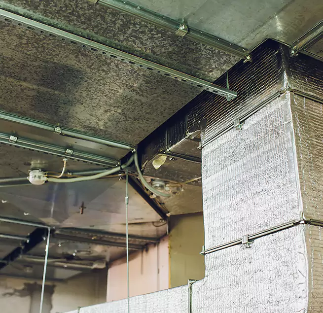 Why Homeowners & Businesses Trust Us in Bonney Lake, WA?