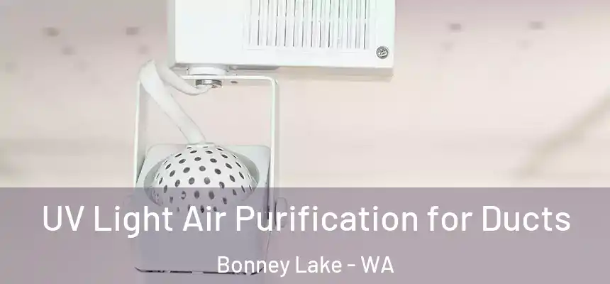  UV Light Air Purification for Ducts Bonney Lake - WA